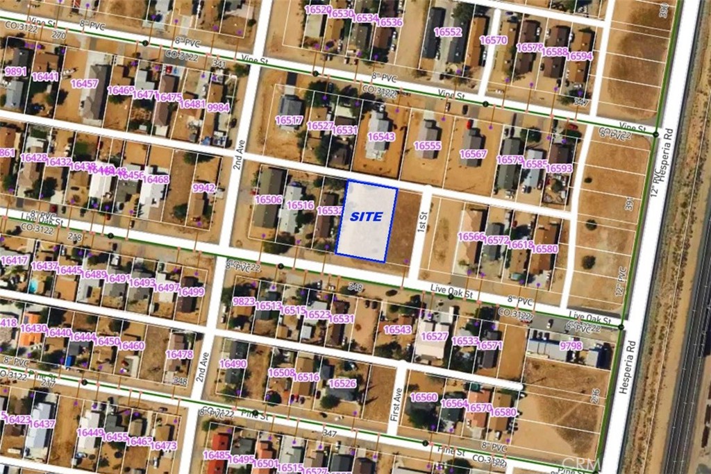 Main image without alt text