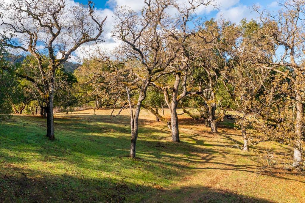 36 Arroyo Sequoia (Lot 117)