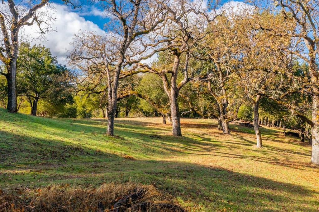 36 Arroyo Sequoia (Lot 117)