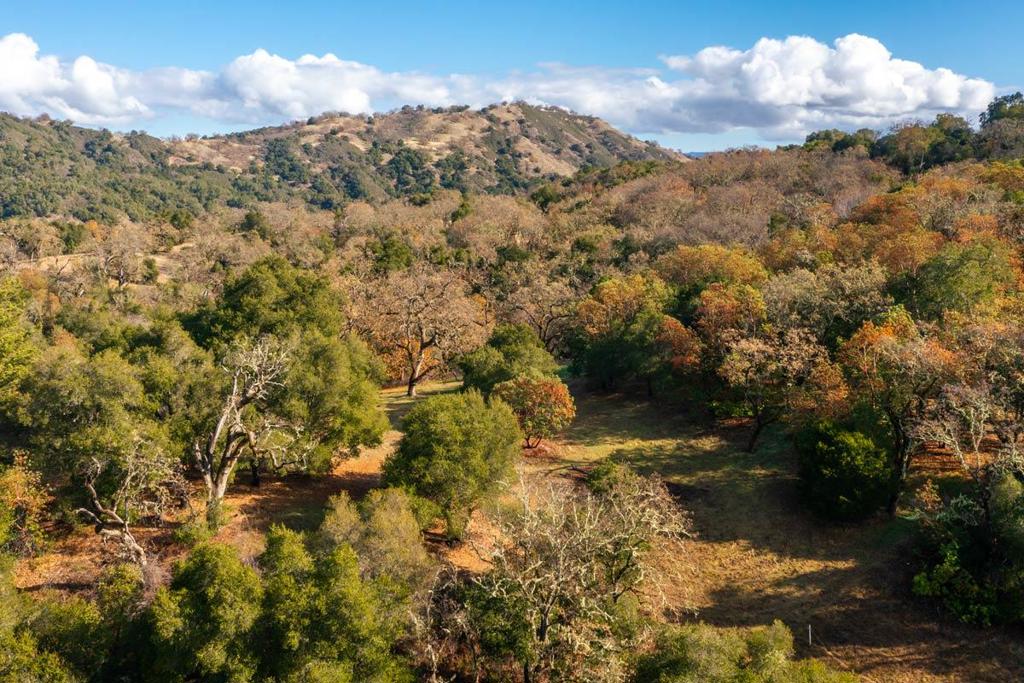 36 Arroyo Sequoia (Lot 117)