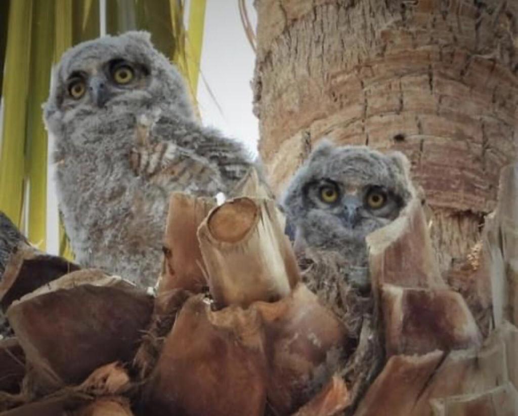 Not Applicable-1 - Manufactured In Park