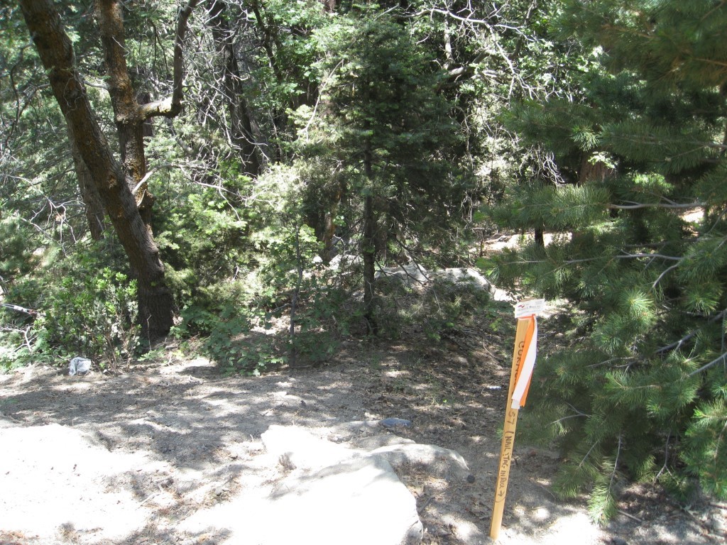 0 Forest Lane
