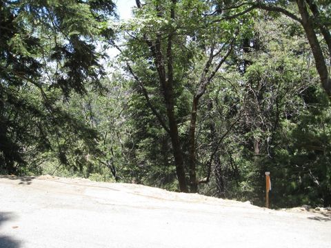 Photo of 0 Forest Lane, Twin Peaks, CA 92391 (MLS # PW25157119)