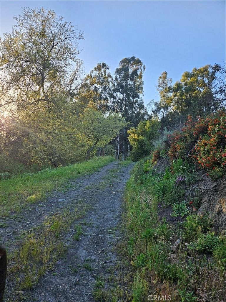 This Beautiful 5 acre parcel in DELUZ with NO HOA is 3 MILES to the freeway (Old Town and the freeway). A one inch WATER METER has been paid for and installed as well as PHONE and INTERNET with Electricity available in the street. Sycamore Mesa Road is a quiet paved road of large custom homes. Entering the property through beautiful Sycamore trees that leads to several choices to build your dream home with a gorgeous view of distant rolling hills ... Sycamore trees, Oak trees and a few family fruit trees are on the Property.