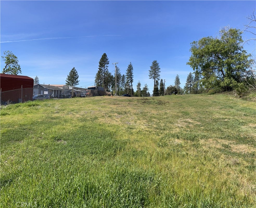 1041 Green Tree Court