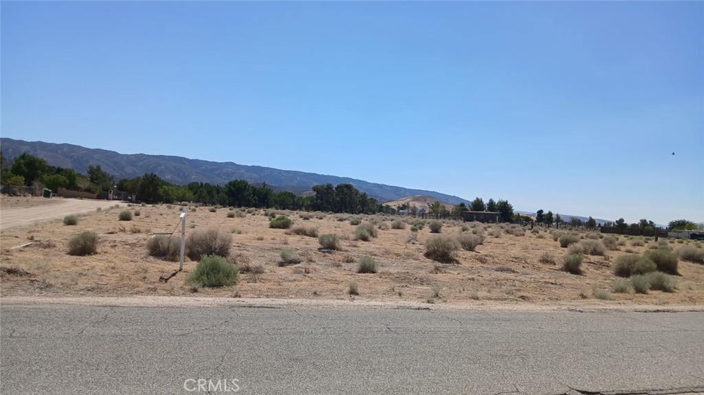 25606 La Petite Avenue