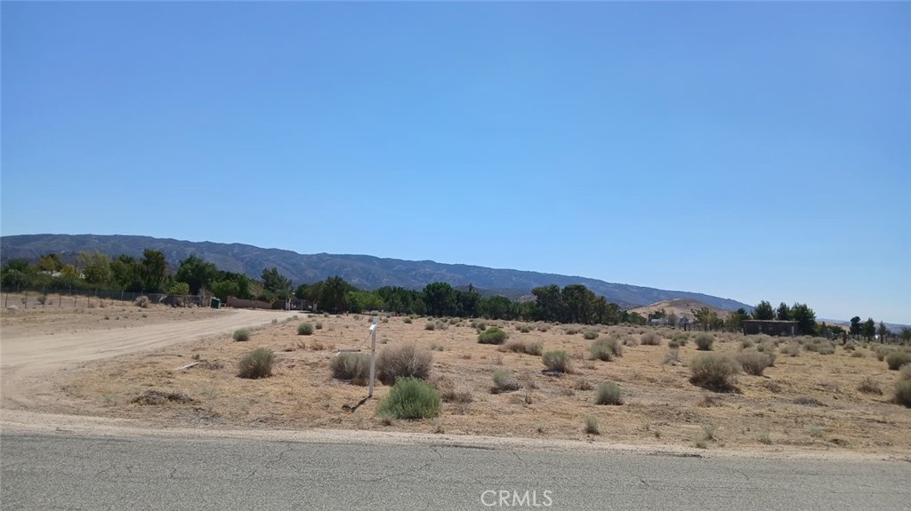 25606 La Petite Avenue