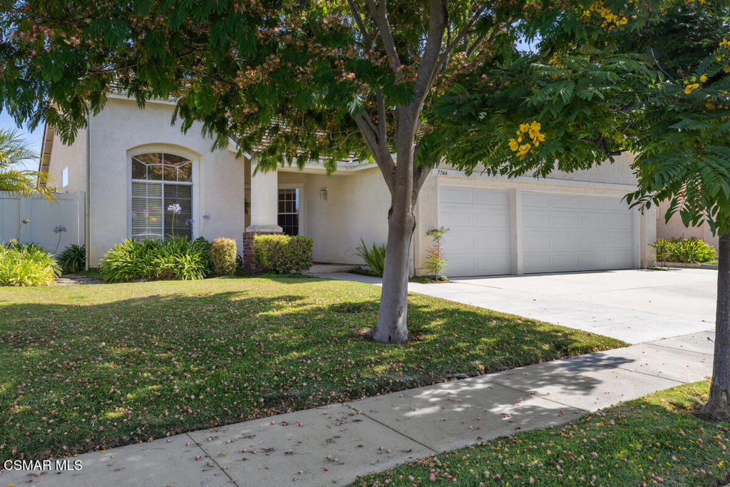 7744 Hayward Street