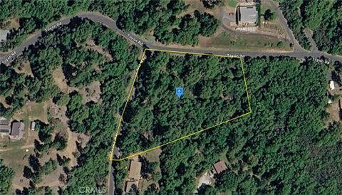 Photo of 18200 Toyon Road, Pine Grove, CA 95656 (MLS # AR26204706)