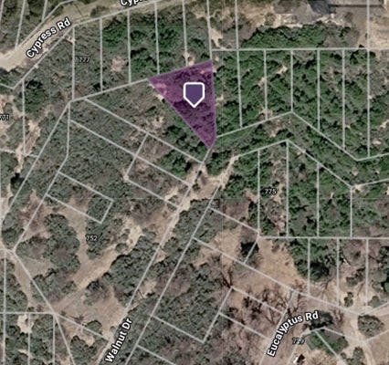 0 WALNUT, CEDAR GLEN, CA 92321 - Image 0decdbfe5d08fe320583f751a8ae20f8/1837905013