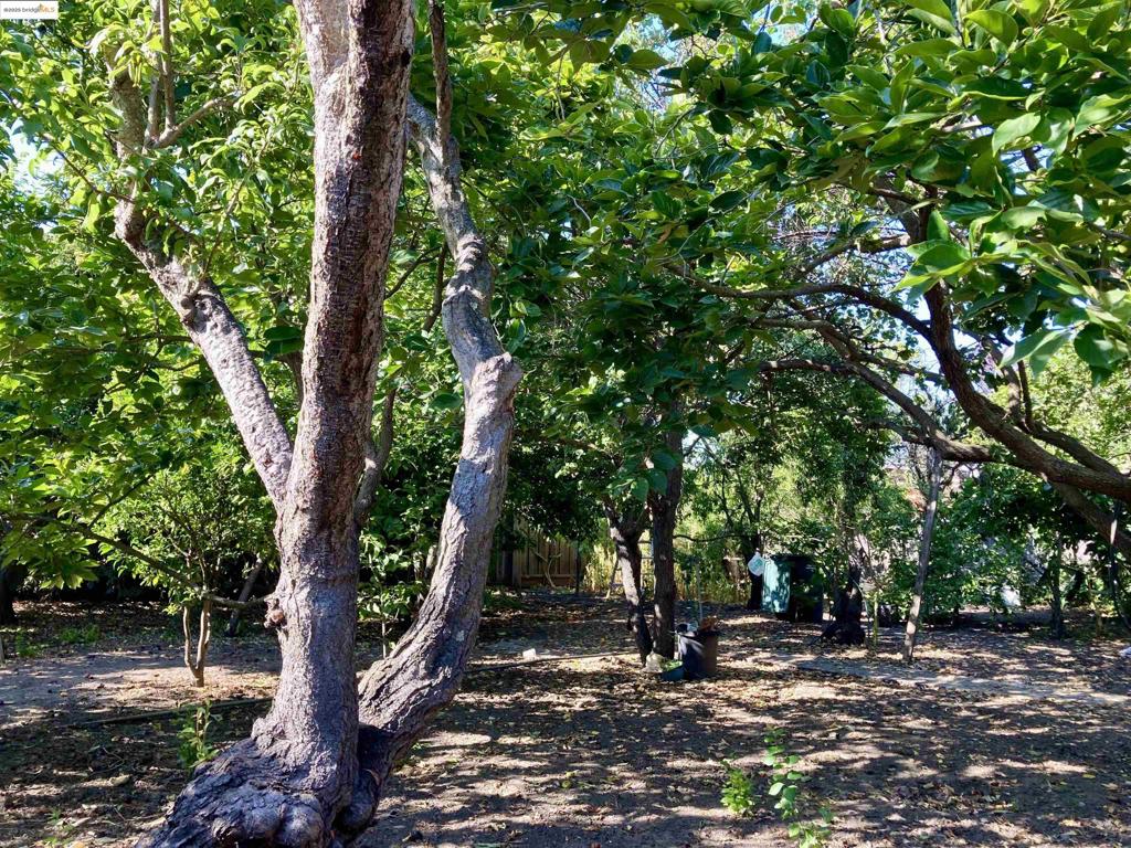 BROADMOOR - Residential