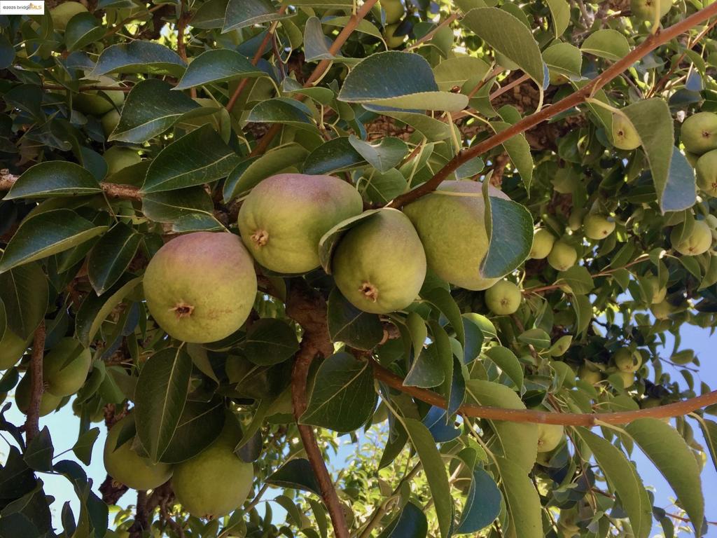 BROADMOOR - Residential