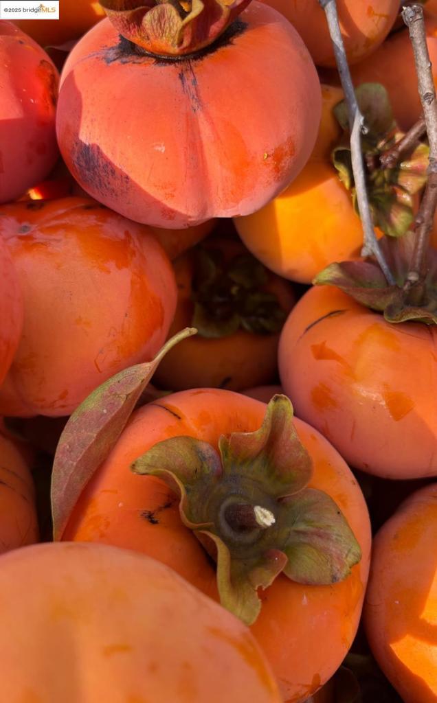 BROADMOOR - Residential