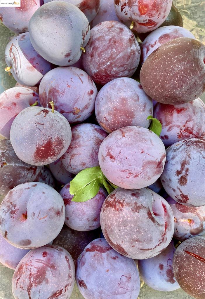 BROADMOOR - Residential