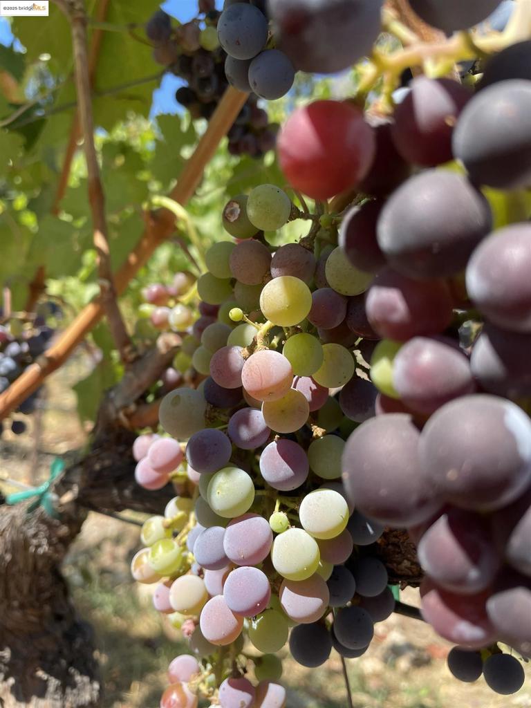 BROADMOOR - Residential