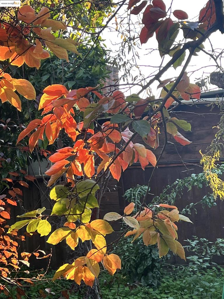 BROADMOOR - Residential