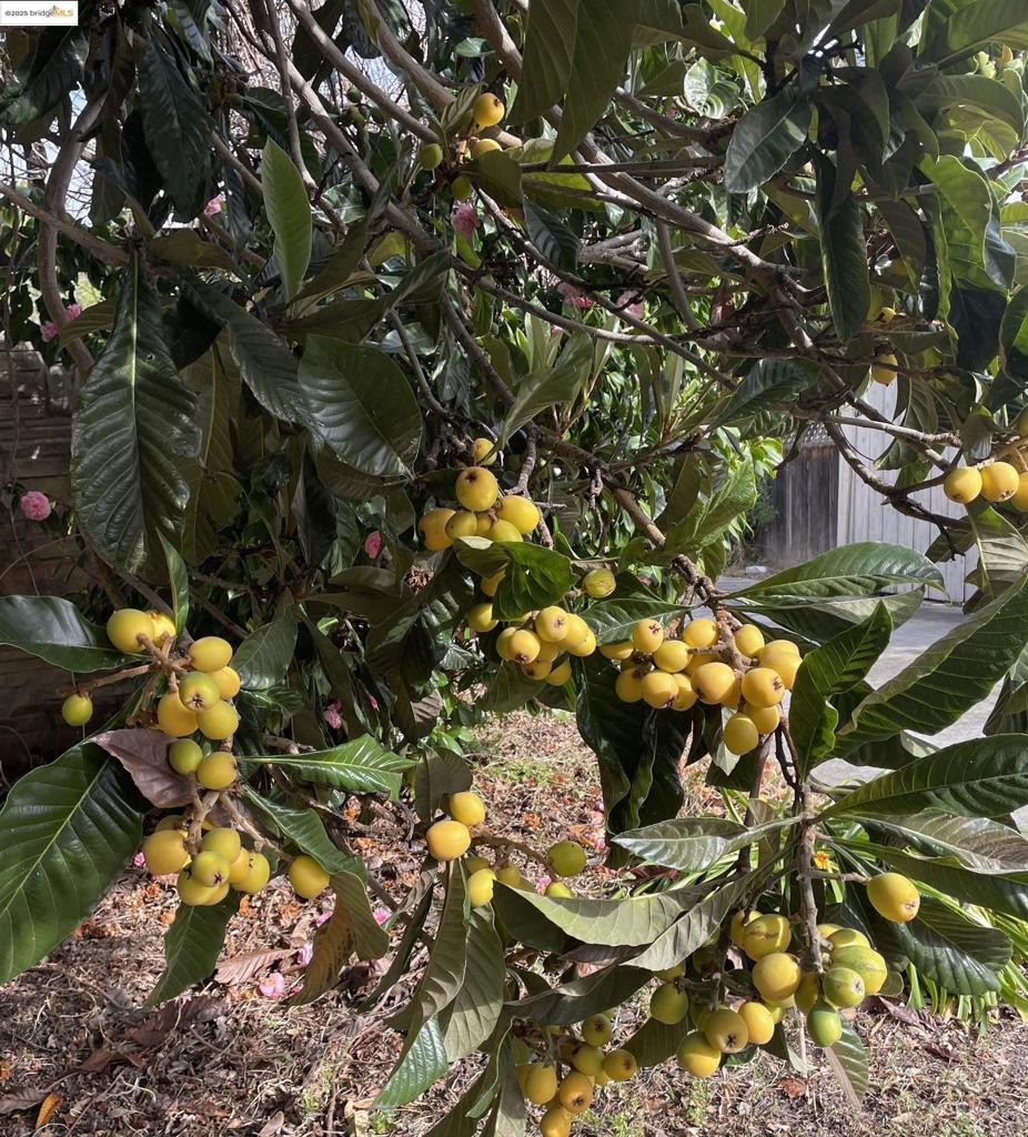 BROADMOOR - Residential