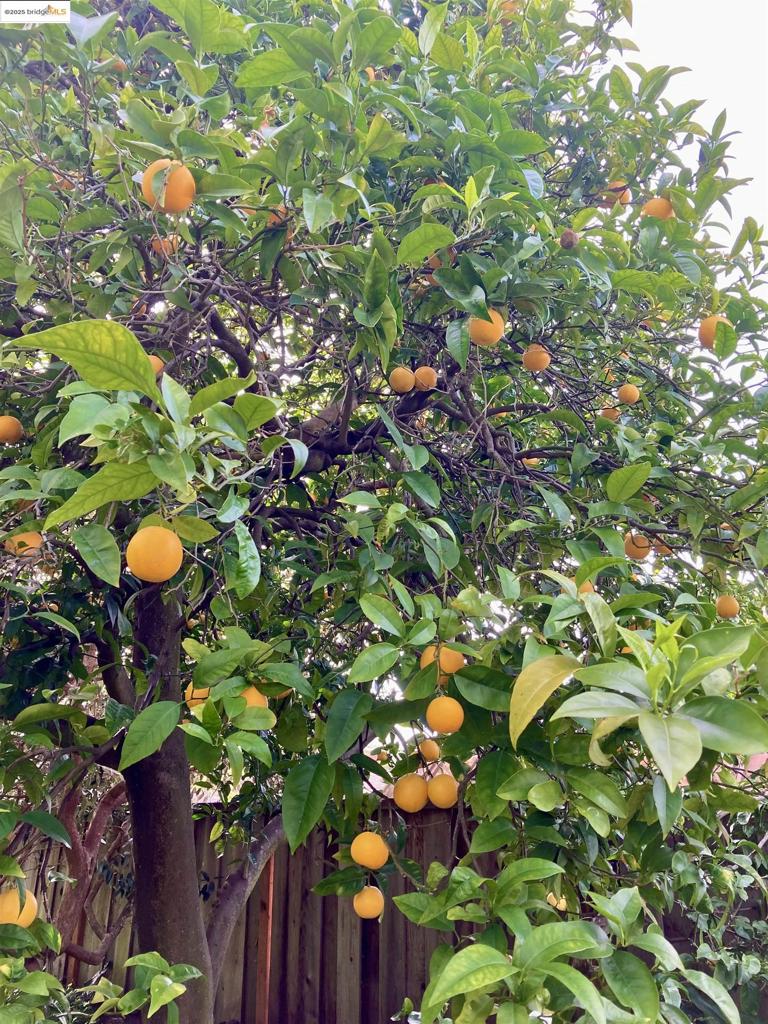 BROADMOOR - Residential