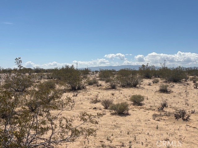 Your Desert Sanctuary Awaits! Escape the hustle and embrace the serene beauty of the high desert with this private 5-acre lot nestled in the heart of Joshua Tree. Perfect for those seeking peace, solitude, and stunning natural surroundings. Star-filled night skies, iconic Joshua trees, and rugged rock formations nearby ultimate privacy with no immediate neighbors. Breathtaking panoramic views, whether you dream of building a desert hideaway, an artist’s retreat, or a vacation rental, this unique property offers endless possibilities. Drive by!