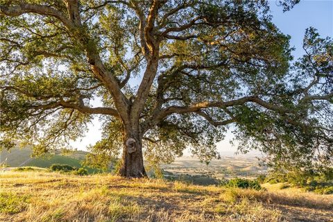 Photo of 2762 Adelaida Road, Paso Robles, CA 93446 (MLS # NS26099588)