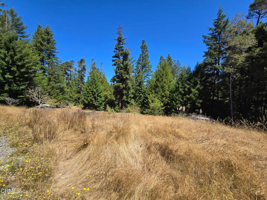 40741 Garcia River Road