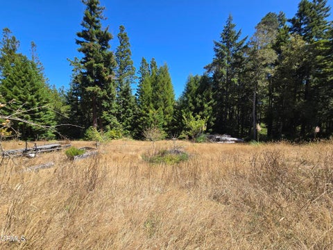 Photo of 40741 Garcia River Road, Point Arena, CA 95468 (MLS # C1-11529)