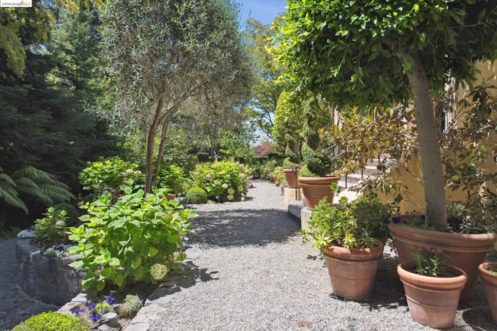 CENTRAL PIEDMONT - Residential