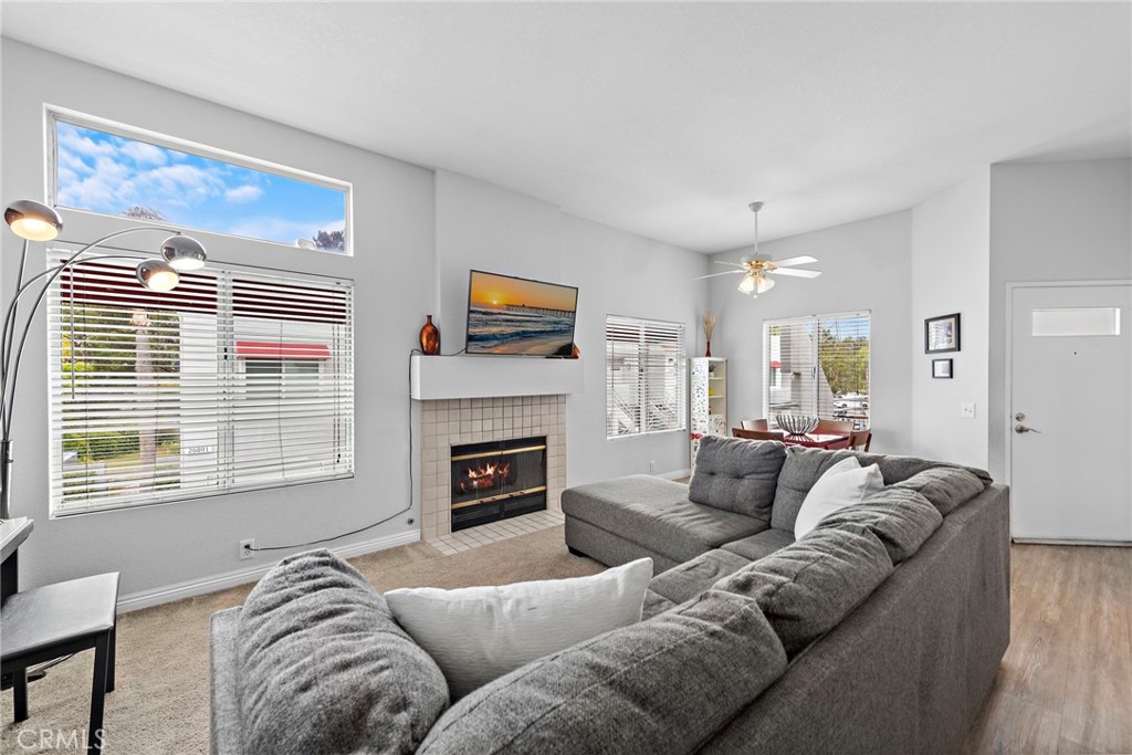 26904 Jasper 256