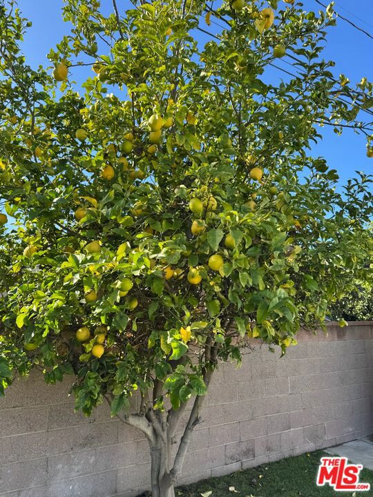 22925 S Berendo Avenue