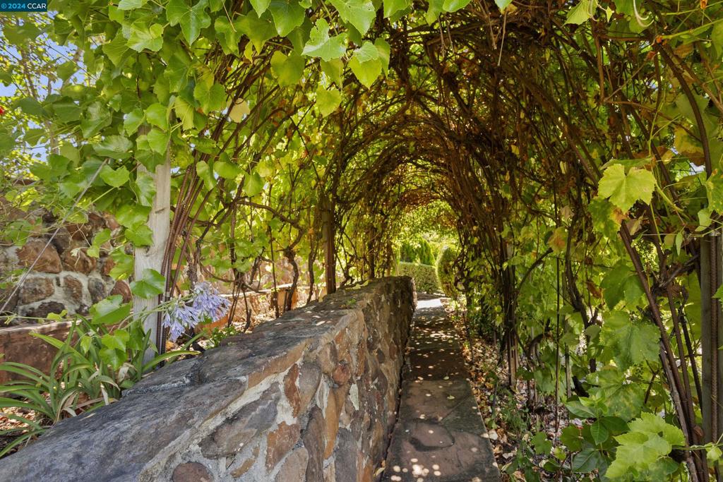 ORINDA DOWNS - Residential