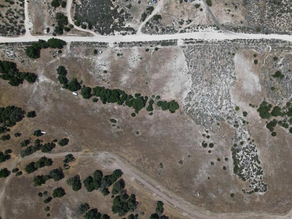 Avenida De Robles Verdes