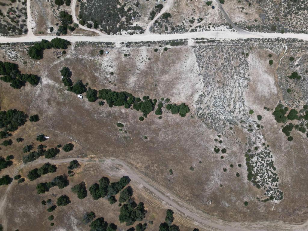 Avenida De Robles Verdes