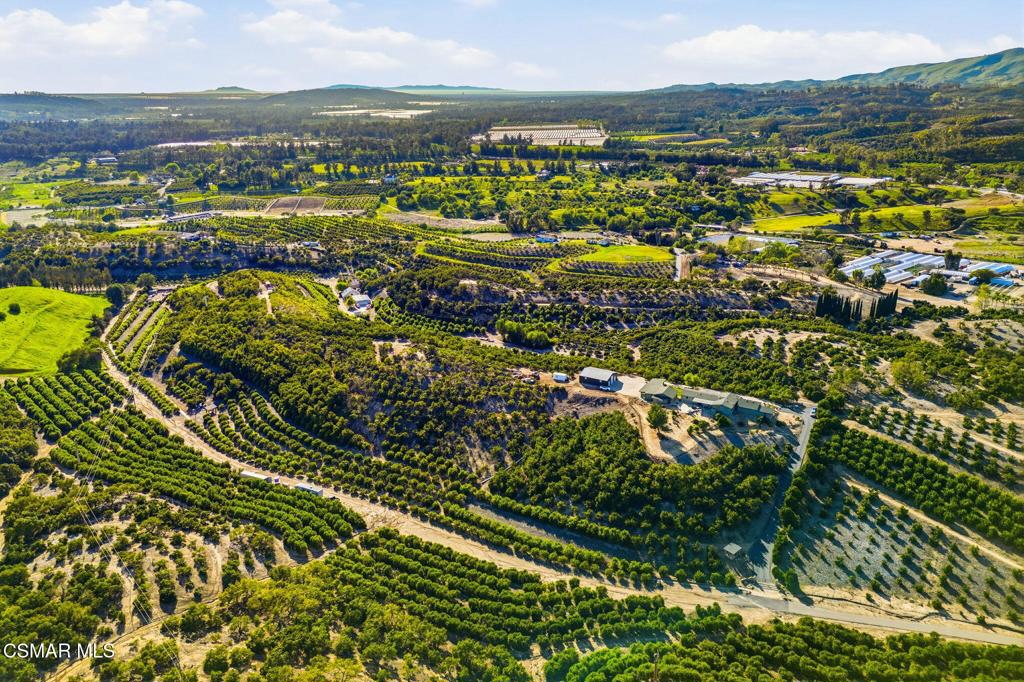 6555 Martinique Drive