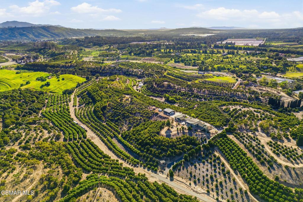 6555 Martinique Drive