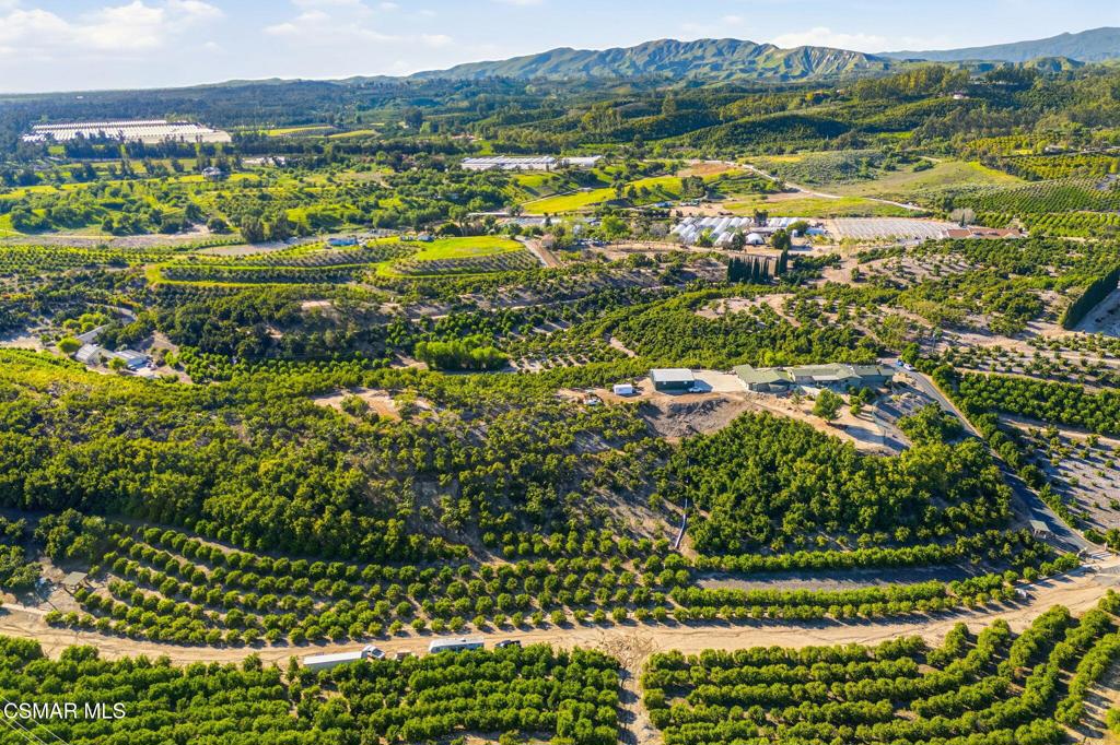 6555 Martinique Drive