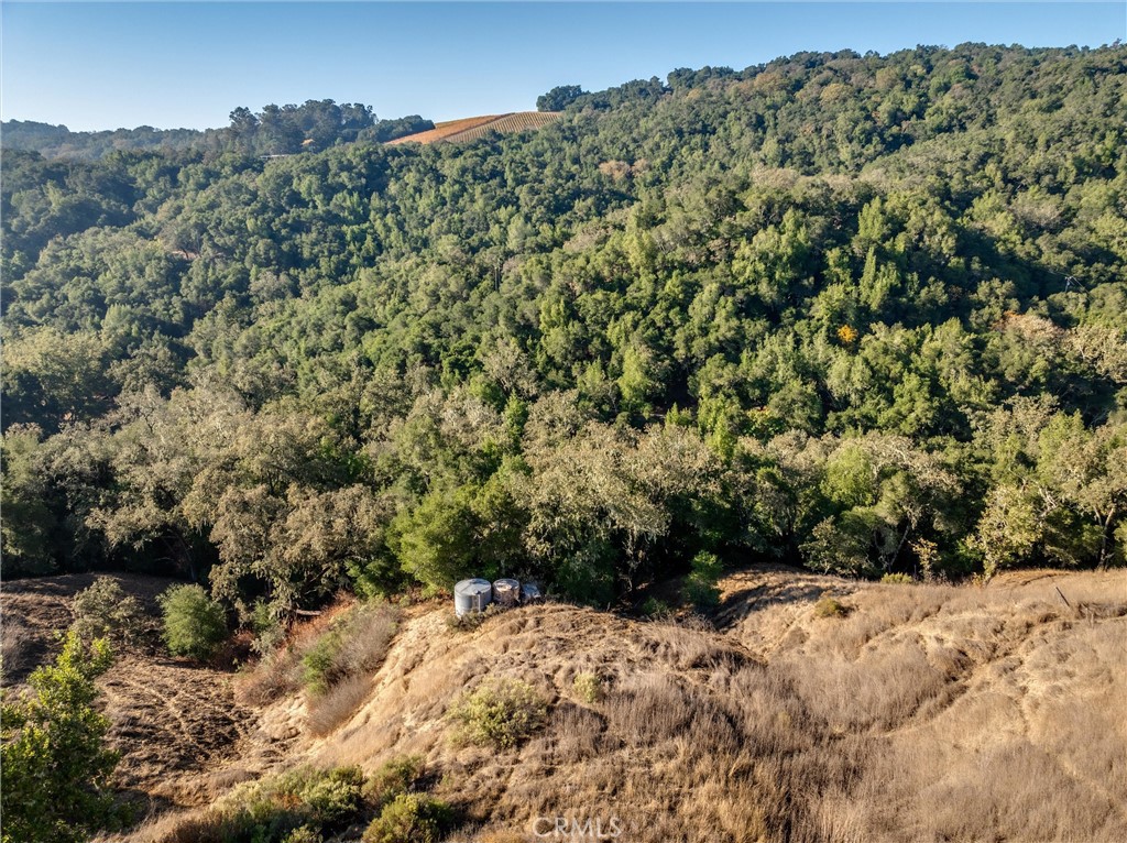 TempWest(100) - Land