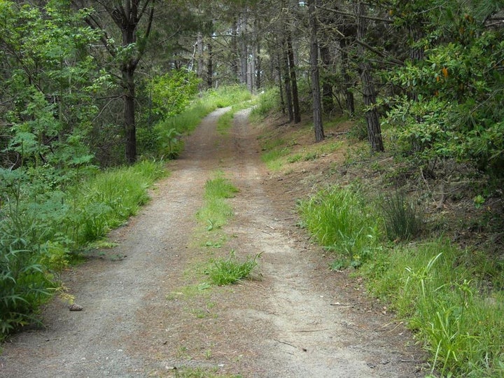 Photo 1 of 9 — 700 Cedar St., Montara, CA 94037