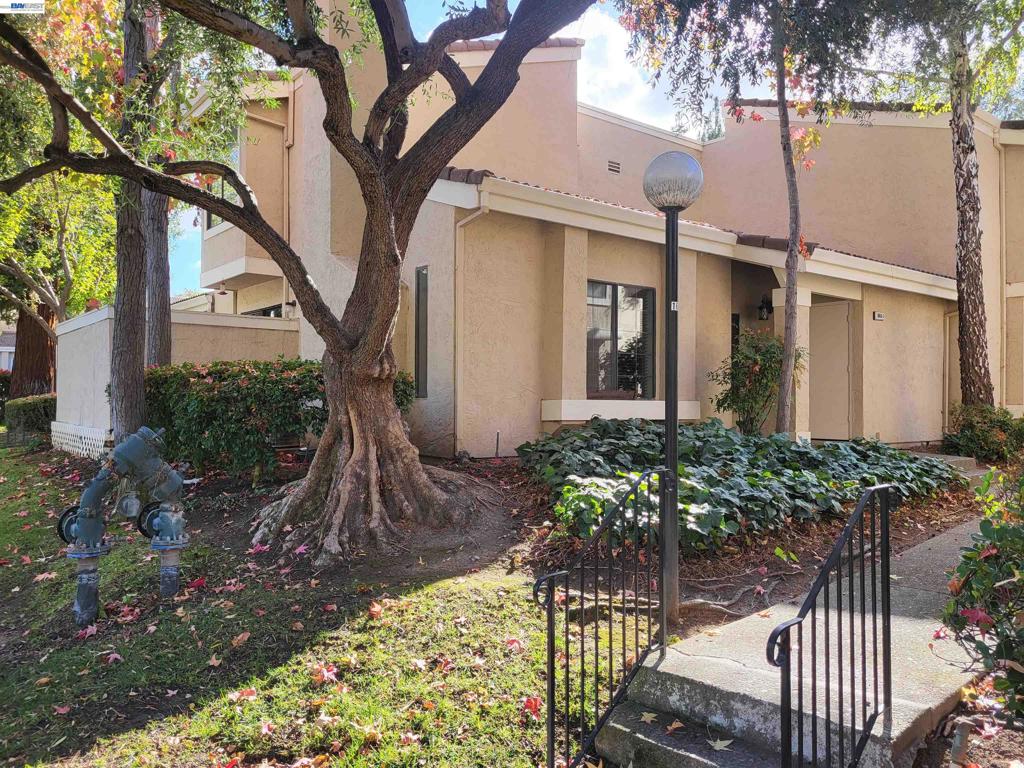 665 Palomino Dr D