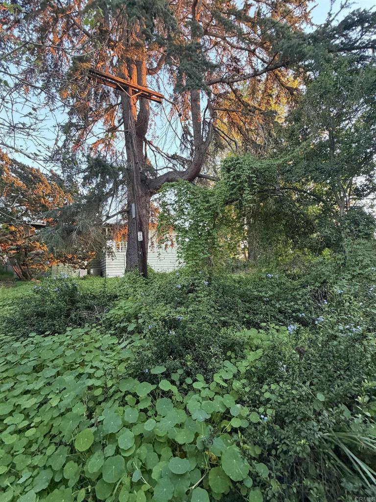 2380 Alta Vista Drive