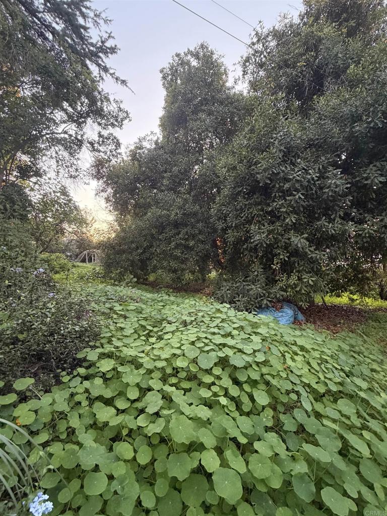 2380 Alta Vista Drive