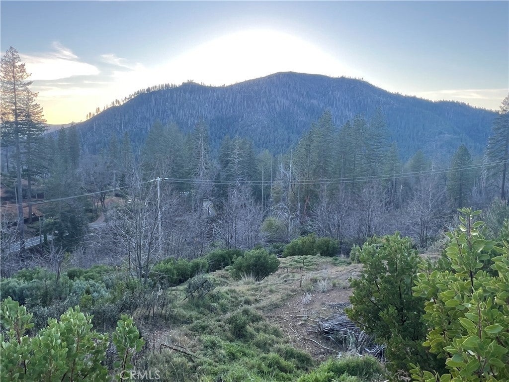 16789 Starview Loop