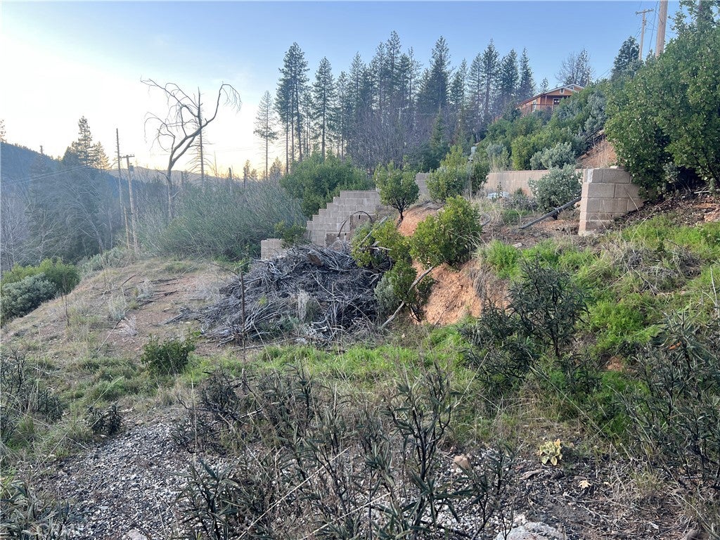 16789 Starview Loop