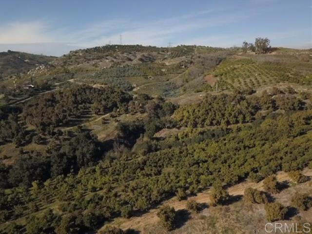 11351 Calle Oro Verde