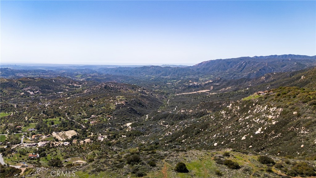 21 Avocado Mesa