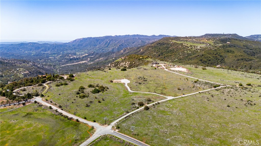 21 Avocado Mesa