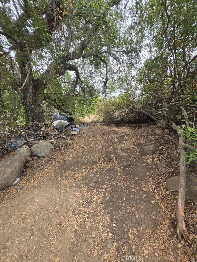 34965 Borchard