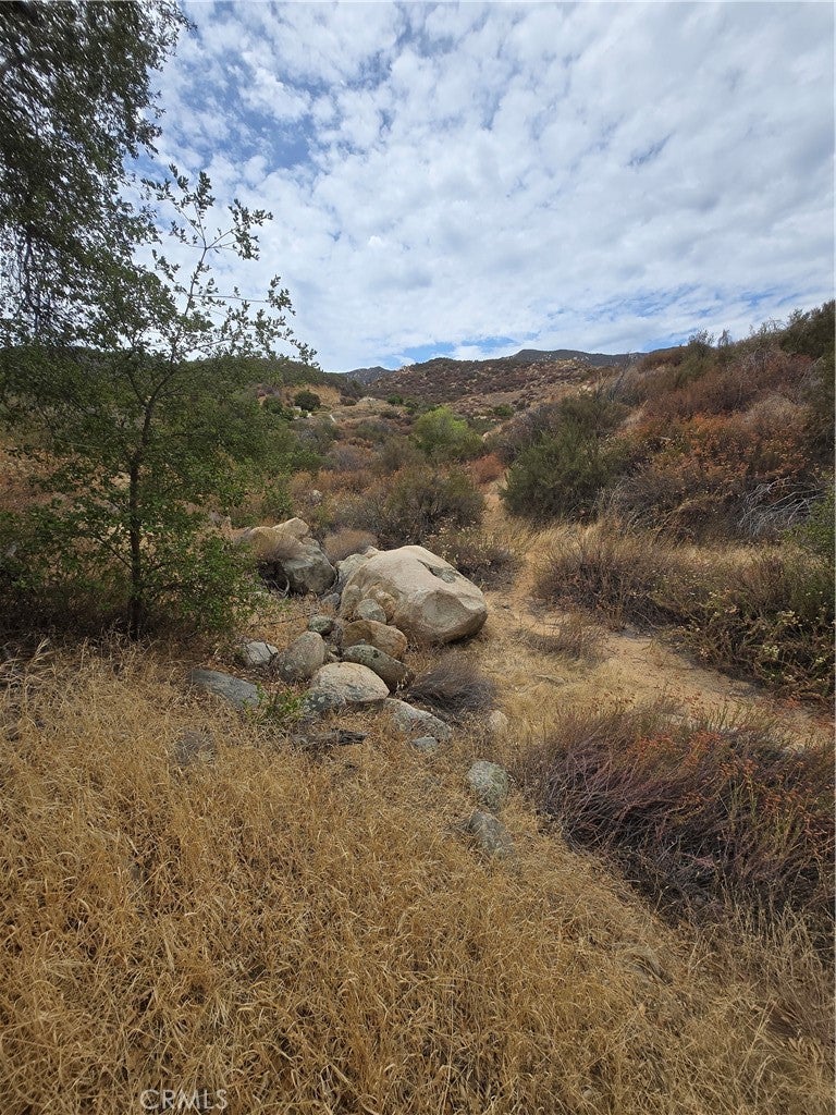 34965 Borchard