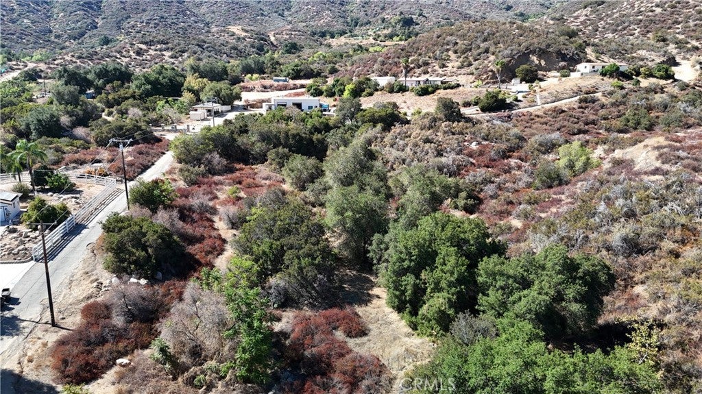 34965 Borchard