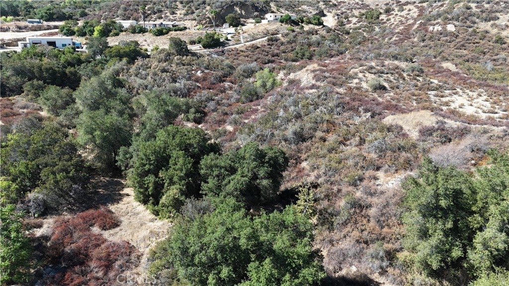 34965 Borchard