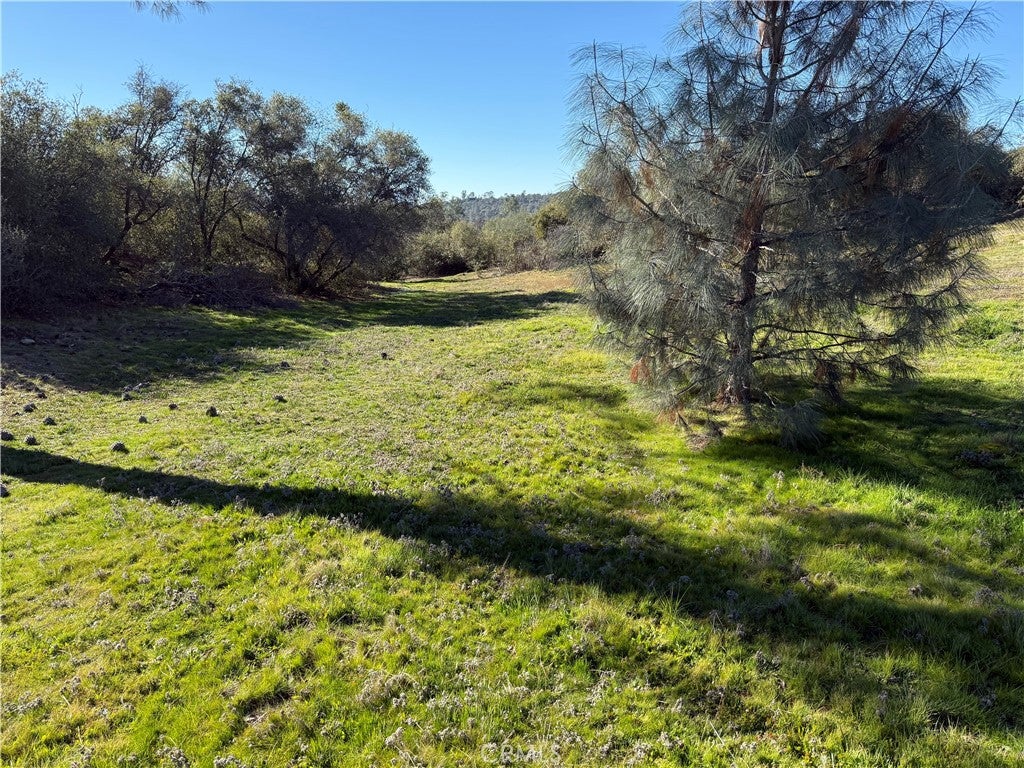 0 37.88 AC Flying O Ranch Rd.